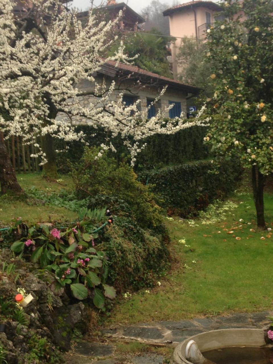Villa Maria Lago Maggiore Reno Di Leggiuno Esterno foto