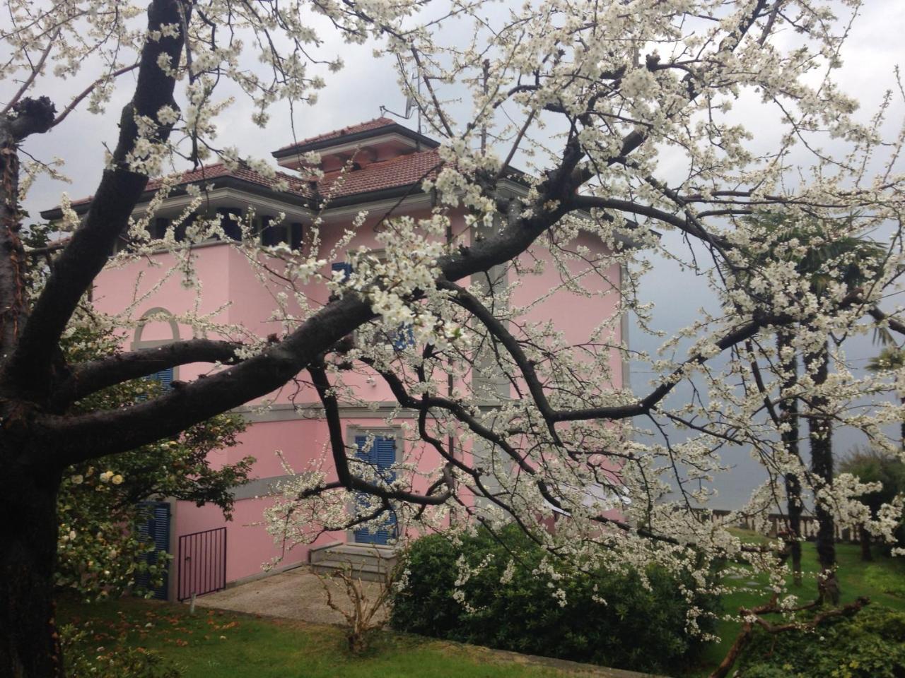 Villa Maria Lago Maggiore Reno Di Leggiuno Esterno foto